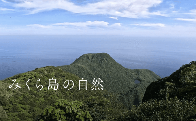 御蔵島村役場チャンネル